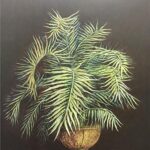 REA'S PALM III - 8x10 Inch