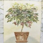 FLOWER POT I - 8x10 Inch