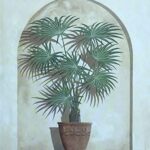 TUSCAN PALM II - 8x10 Inch