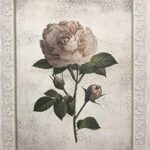 CAPTIVE ROSE II - 8x10 Inch