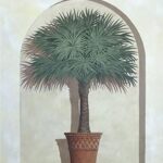 TUSCAN PALM III - 8x10 Inch