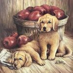 MOUNTAIN FARM APPLES II - 8x10 Inch