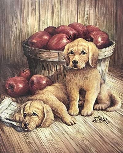 61jniswlnkl-ac-1 MOUNTAIN FARM APPLES II - 8x10 Inch - Image 1