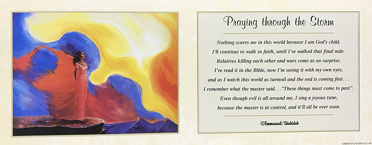 81-6er2eufl-ac-sl1500-1 PRAYING THROUGH THE STORM - 8x20 Inch - Image 1