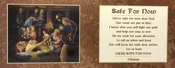 SAFE FOR NOW - 8x20 Inch