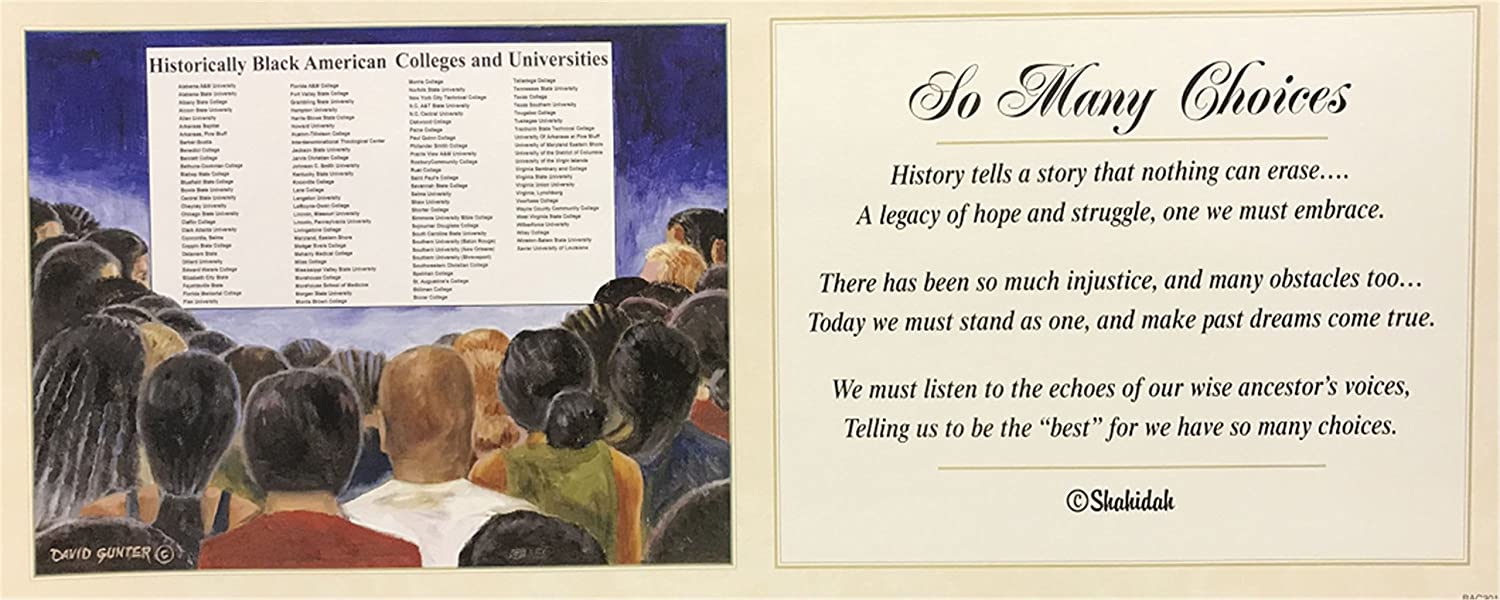 81omuwd2jl-ac-sl1500-1 SO MANY CHOICES - 8x20 Inch - Image 1