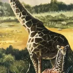 MATERNAL AFFECTION - 8x20 Inch Art Print Poster