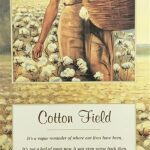 COTTON FIELD I - 8x20 Inch