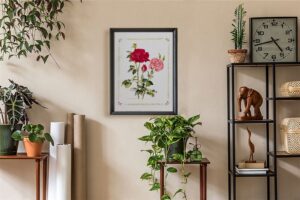 Two Roses, by Cappello - 11x14 Art Poster Print for Wall, Home Decor