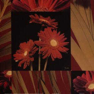 Crimson Gerberas, by Craven - 12x12 Art Poster Print for Wall, Home Decor - Image 2