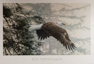 Through the Firs, by Ron Parker - 24x36 Art Poster Print for Wall, Home Decor - Image 2