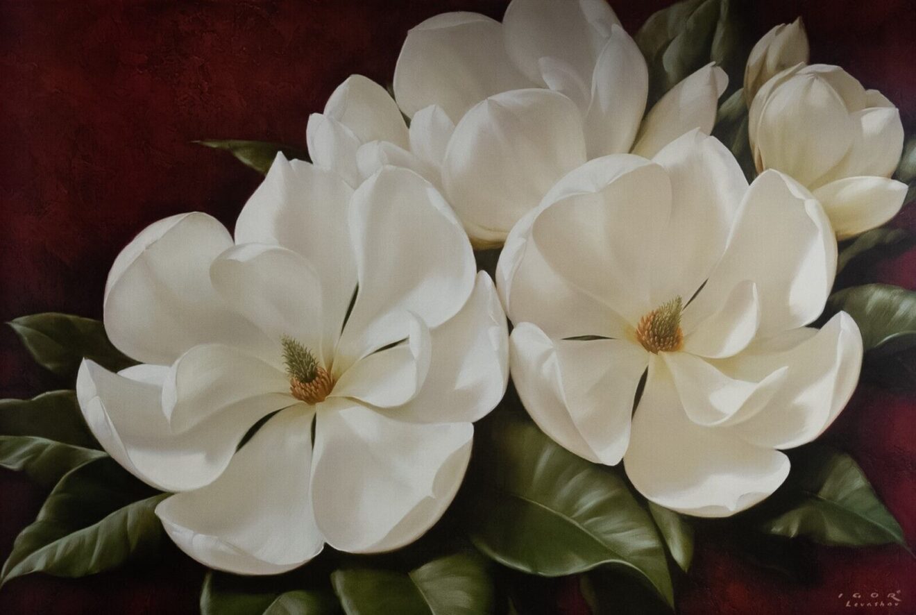 Magnolia Crimson II, by Levashov - 24x36 Art Poster Print for Wall, Home Decor - Image 2