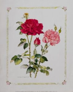 Two Roses, by Cappello - 11x14 Art Poster Print for Wall, Home Decor - Image 2