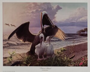 Pelican Island, by Butler - 12x15 Art Poster Print for Wall, Home Decor - Image 2