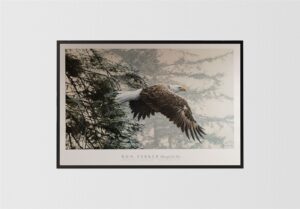 Through the Firs, by Ron Parker - 24x36 Art Poster Print for Wall, Home Decor - Image 3