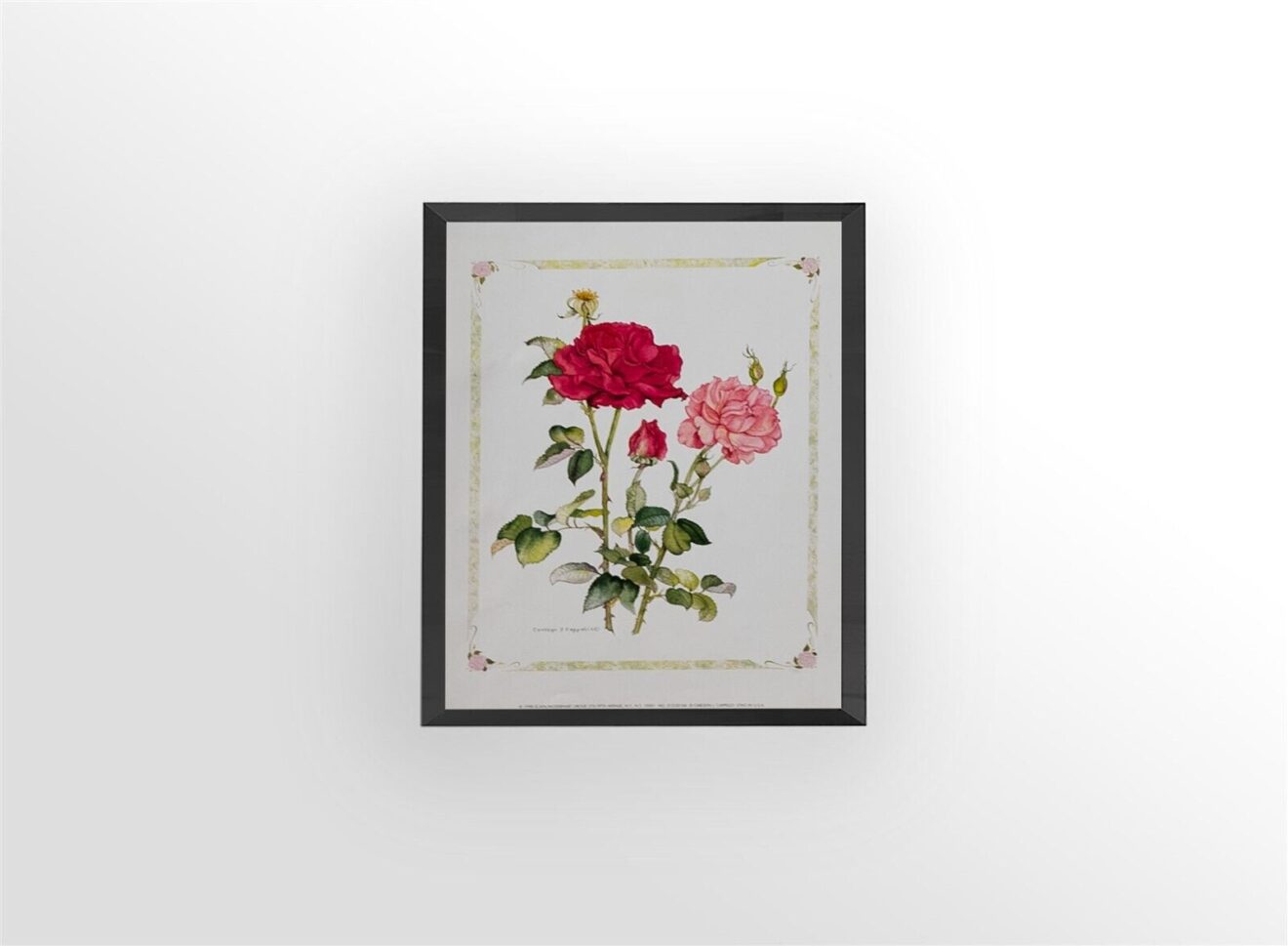 Two Roses, by Cappello - 11x14 Art Poster Print for Wall, Home Decor - Image 3