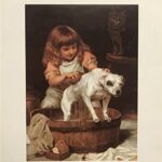 THE ORDER OF THE BATH - 8x10 Inch