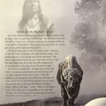 WHERE ARE THE BUFFALO " GONE " - 8x10 Inch