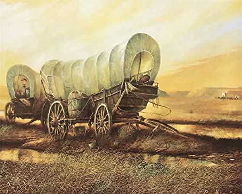 51onsiqx9tl-ac-1 BUGGY I - 8x10 Inch - Image 1