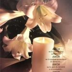 AMOR ( LOVE ), Spanish Version - 8x10 Inch