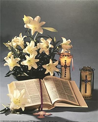 51xkmmtr1vl-ac-1 HOLY BIBLE - 8x10 Inch - Image 1