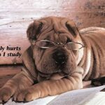 WHITE & BLACK LAB II - 8x10 Inch