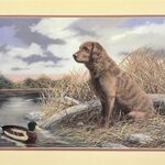 CHESAPEAKE BAY RETRIEVER - 8x10 Inch