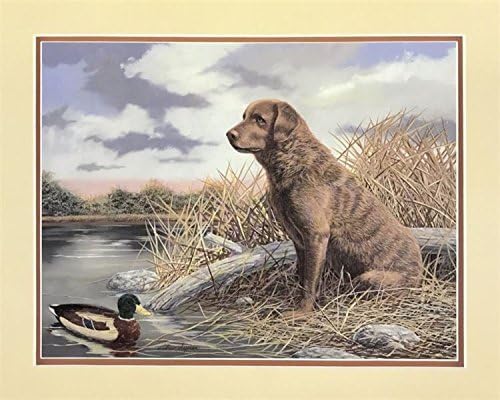 img 1 CHESAPEAKE BAY RETRIEVER - 8x10 Inch - Image 1