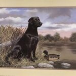 BLACK LAB - 8x10 Inch