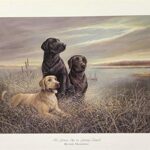 ALL GROWN UP ON GRASSY SOUND - 8x10 Inch