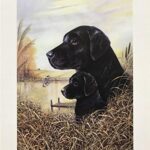 BY THE DOCK - 8x10 Inch