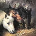 HORSES MUCHING - 8x10 Inch