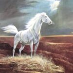 WHITE HORSE - 8x10 Inch