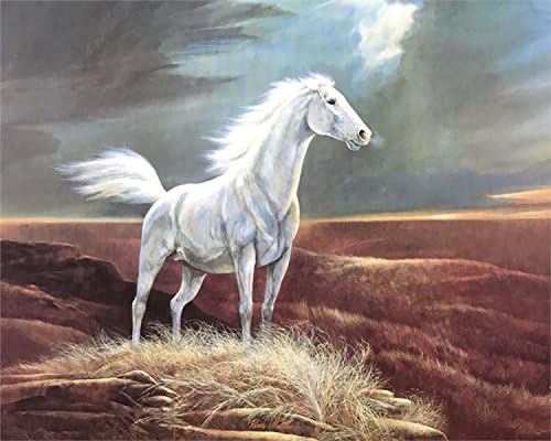 img 1 WHITE HORSE - 8x10 Inch - Image 1