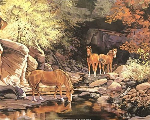 img 1 HORSES DRINKING WATER - 8x10 Inch - Image 1