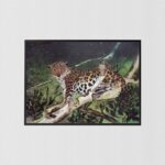Leopards by H.L. Woodall, Art Poster Print for Wall, Home Decor