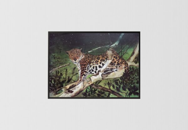 Leopards by H.L. Woodall, Art Poster Print for Wall, Home Decor