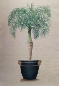 Potted Palm I - 24x36 Art Poster Print for Wall, Home Decor - Image 3