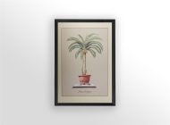 Phoenix Dactylisera, by Bender - 24x36 Art Poster Print for Wall, Home Decor - Image 3