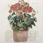 PELARGONIUM - 8x10 Inch