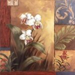 CONTEMPORARY ORCHIDS I - 8x10 Inch
