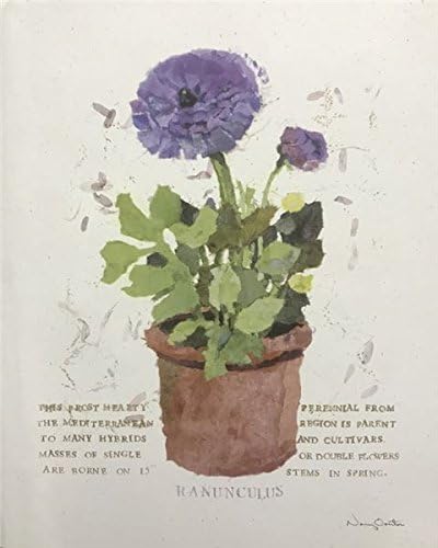 img1 RANUNCULUS - 8x10 Inch - Image 1