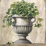 ELEGANCE IVEY I - 8x10 Inch