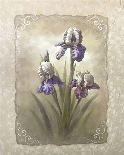 img1 IRIS SCROLL - 8x10 Inch - Image 1