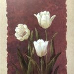 WHITE SPLENDOR II - 8x10 Inch