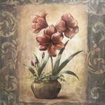 WANDA'S AMARYLLIS II - 8x10 Inch