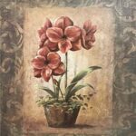 WANDA'S AMARYLLIS I - 8x10 Inch