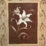 AMANDA'S LILY - 8x10 Inch