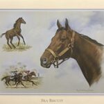 SEA BISCUIT I - 8x10 Inch