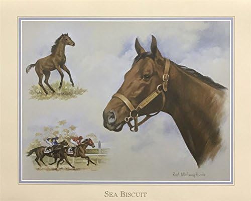 img1 SEA BISCUIT I - 8x10 Inch - Image 1